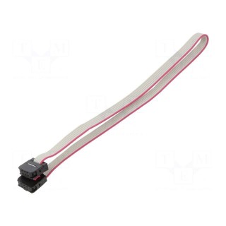 Ribbon cable with IDC connectors | Cable ph: 1mm | 0.3m | 6x28AWG