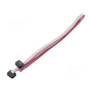 Ribbon cable with IDC connectors | Cable ph: 1mm | 0.6m | 6x28AWG
