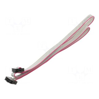 Ribbon cable with IDC connectors | Cable ph: 1mm | 0.6m | 6x28AWG
