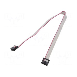 Ribbon cable with IDC connectors | Cable ph: 1mm | 0.15m | 8x28AWG