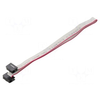 Ribbon cable with IDC connectors | Cable ph: 1mm | 0.3m | 8x28AWG