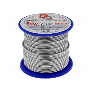 Silver plated copper wires | 1.2mm | 250g | 24.5m | -200÷800°C
