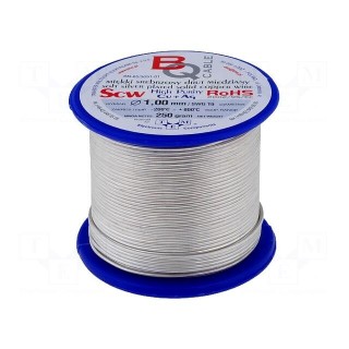 Silver plated copper wires | 1mm | 250g | Cu,silver plated | 36m