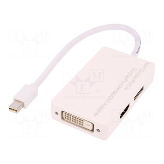 Adapter | DisplayPort 1.1a | Colour: white
