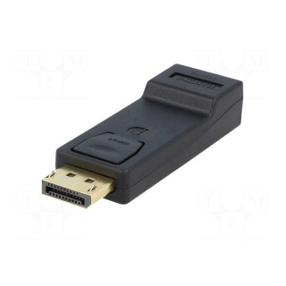 Adapter | DisplayPort plug,HDMI socket