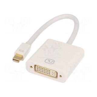 Adapter | mini DisplayPort plug,DVI-I (24+5) socket | 0.15m
