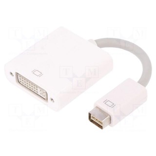 Adapter | DVI-I (24+5) socket,DVI mini plug | 170mm | Colour: white