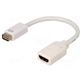 Adapter | DVI mini plug,HDMI socket