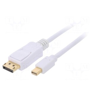 Cable | DisplayPort 1.1 | DisplayPort plug,mini DisplayPort plug