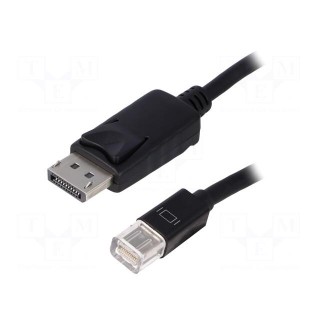 Cable | DisplayPort 1.1 | DisplayPort plug,mini DisplayPort plug
