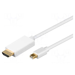 Cable | DisplayPort 1.1 | mini DisplayPort plug,HDMI plug | 2m