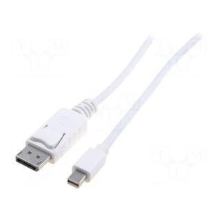 Cable | DisplayPort 1.1a | 2m | white