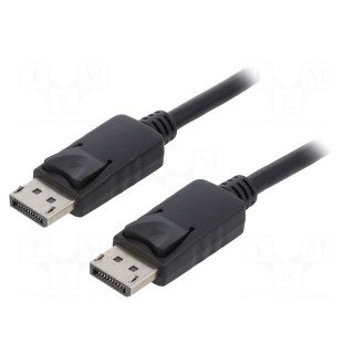 Cable | DisplayPort 1.2 | DisplayPort plug,both sides | 0.5m | black