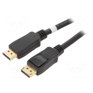 Cable | DisplayPort 1.2 | DisplayPort plug,both sides | 2m | black