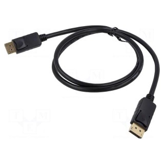 Cable | DisplayPort 1.2 | DisplayPort plug,both sides | Len: 1m