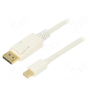 Cable | DisplayPort 1.2 | DisplayPort plug,mini DisplayPort plug