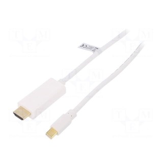 Cable | DisplayPort 1.2 | mini DisplayPort plug,HDMI plug | 2m
