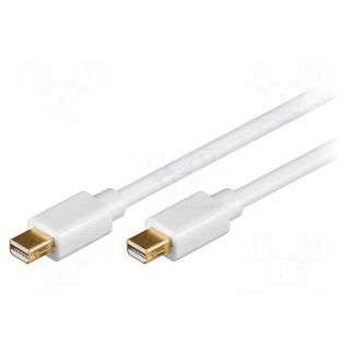 Cable | DisplayPort 1.2 | mini DisplayPort plug,both sides | 2m