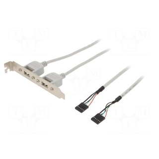 Adapter | brackets on slot | USB A socket x2,5pin pin header x2