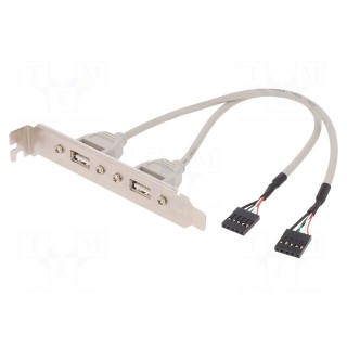 Adapter | USB 2.0,brackets on slot | nickel plated | 250mm | beige
