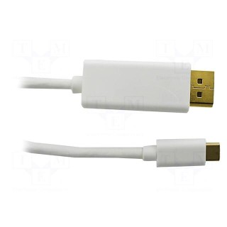 Adapter | DisplayPort 1.2,HDCP,USB 3.1 | 2m | white