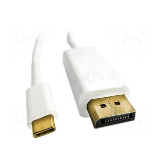 Adapter | DisplayPort 1.2,HDCP,USB 3.0 | 2m | Colour: white