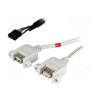 Adapter | USB 2.0 | USB A socket x2,5pin pin header x2 | 0.5m