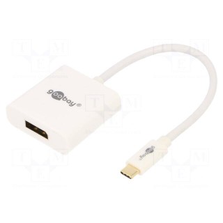 Adapter | USB 3.0 | DisplayPort socket,USB C plug | 0.2m | white