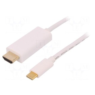 Adapter | USB 3.1 | HDMI plug,USB C plug | 2m | Colour: white