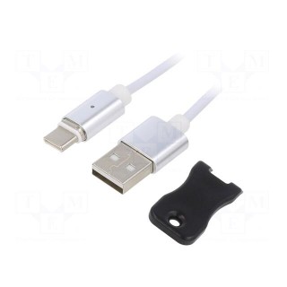 Cable | magnetic,USB 2.0 | USB A plug,USB C plug | 1m | white