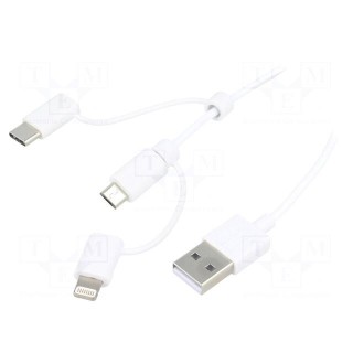 Cable | USB 2.0 | 1m | white | 480Mbps