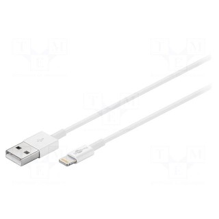 Cable | USB 2.0 | USB A plug,Apple Lightning plug | 0.5m | white
