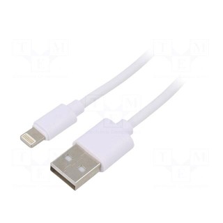 Cable | USB 2.0 | Apple Lightning plug,USB A plug | nickel plated