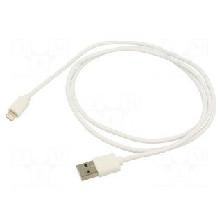 Cable | USB 2.0 | Apple Lightning plug,USB A plug | nickel plated