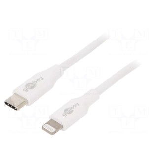 Cable | USB 2.0 | Apple Lightning plug,USB C plug | 0.5m | white