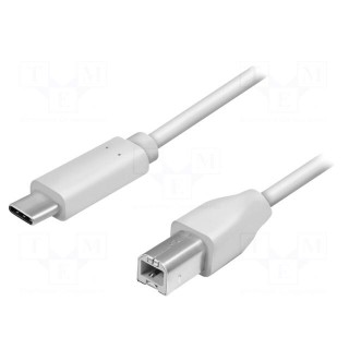 Cable | USB 2.0 | USB B plug,USB C plug | 2m | grey