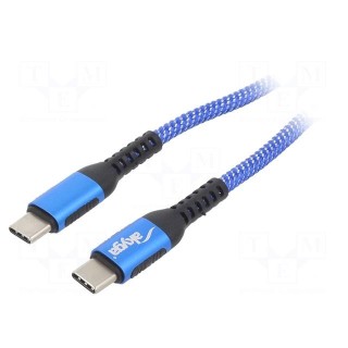 Cable | USB 2.0 | USB C plug,both sides | nickel plated | 1m | blue