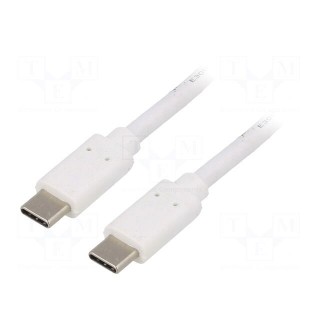 Cable | USB 3.1 | USB C plug,both sides | 1m | white | 10Gbps