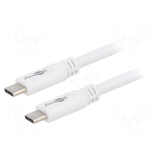 Cable | USB 3.2 | USB C plug,both sides | 1m | white | 5Gbps | 60W
