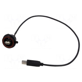 Cable | USB A socket-front,USB B plug | 0.5m | IP68 | USB Buccaneer