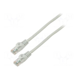 Patch cord | F/UTP | 6 | stranded | CCA | PVC | grey | 0.5m | 26AWG | Cores: 8
