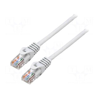 Patch cord | U/UTP | 6 | stranded | Cu | LSZH | grey | 2m | 26AWG | Cores: 8