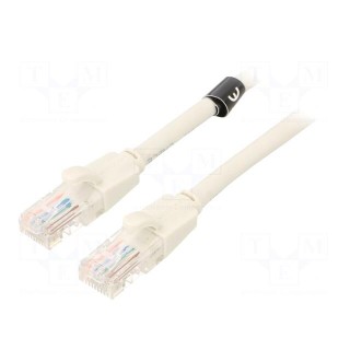 Patch cord | U/UTP | 6 | CCA | PVC | grey | 1.5m | RJ45 plug,both sides