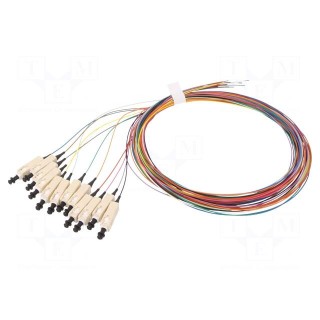 Optic fiber pigtail | OM2 | SC/UPC | 2m | LSZH | Connector colour: blue