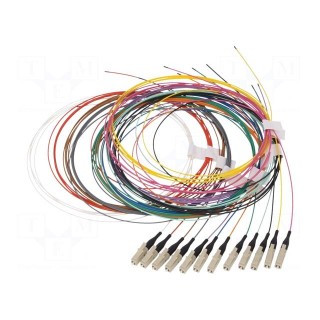 Optic fiber pigtail | OM4 | LC/UPC | 2m | LSZH | Connector colour: blue