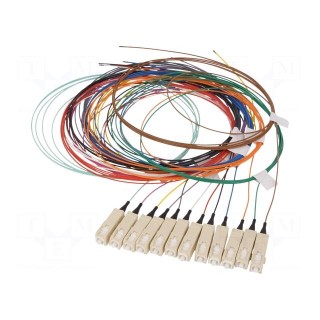 Optic fiber pigtail | OM4 | SC/UPC | 2m | LSZH | Connector colour: blue