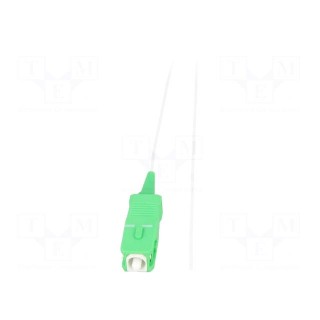 Optic fiber pigtail | SC/APC | 1.5m | LSZH | Optical fiber: 9/125um