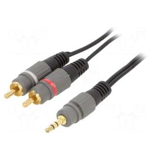 Cable | Jack 3.5mm 3pin plug,RCA plug x2 | 5m | black