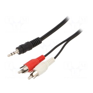 Cable | Jack 3.5mm 3pin plug,RCA plug x2 | 5m | black | Øcable: 2.6mm
