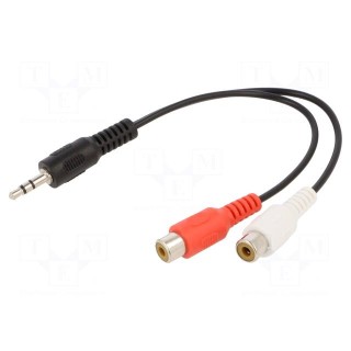 Cable | Jack 3.5mm 3pin plug,RCA socket x2 | 0.2m | black | PVC